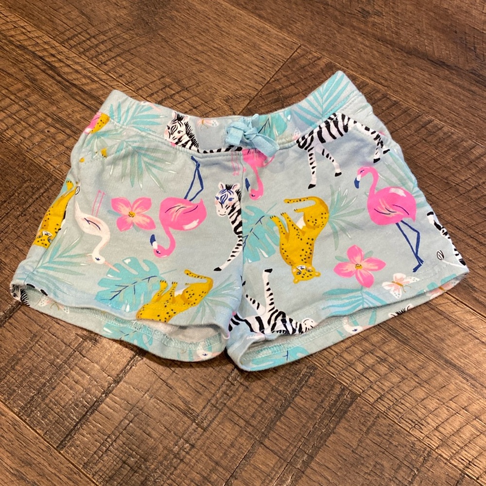 Carter’s Jungle Shorts